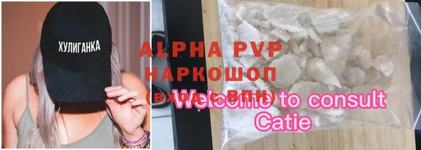 mdpv Бородино