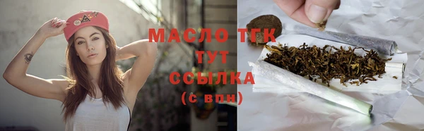 mdpv Бородино
