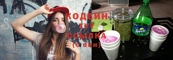 mdpv Бородино