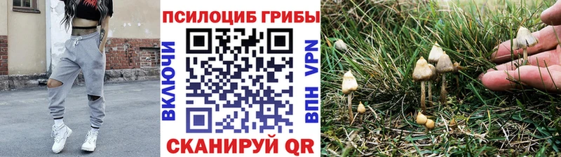 маркетплейс официальный сайт  Нарткала  Галлюциногенные грибы прущие грибы 